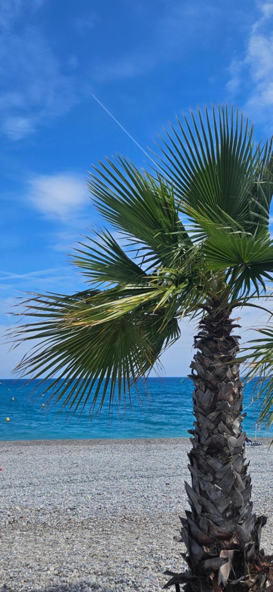 Studio Saint-Laurent-Du-Var Bord De Mer Kültér fotó